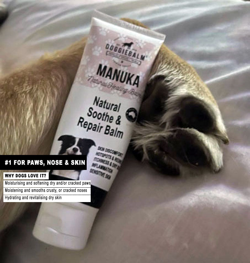 Manuka Dog Balm