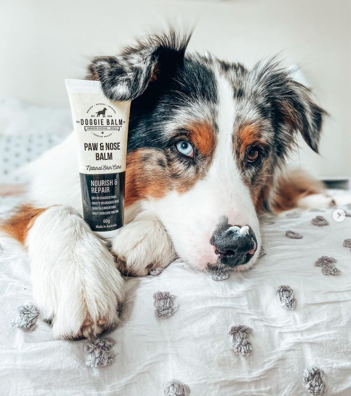 Best nose balm for dogs hot sale