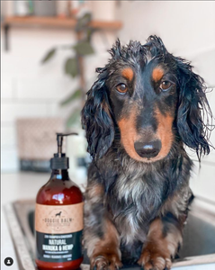 DoggieBalm Natural Manuka & Hemp Shampoo and Conditioner
