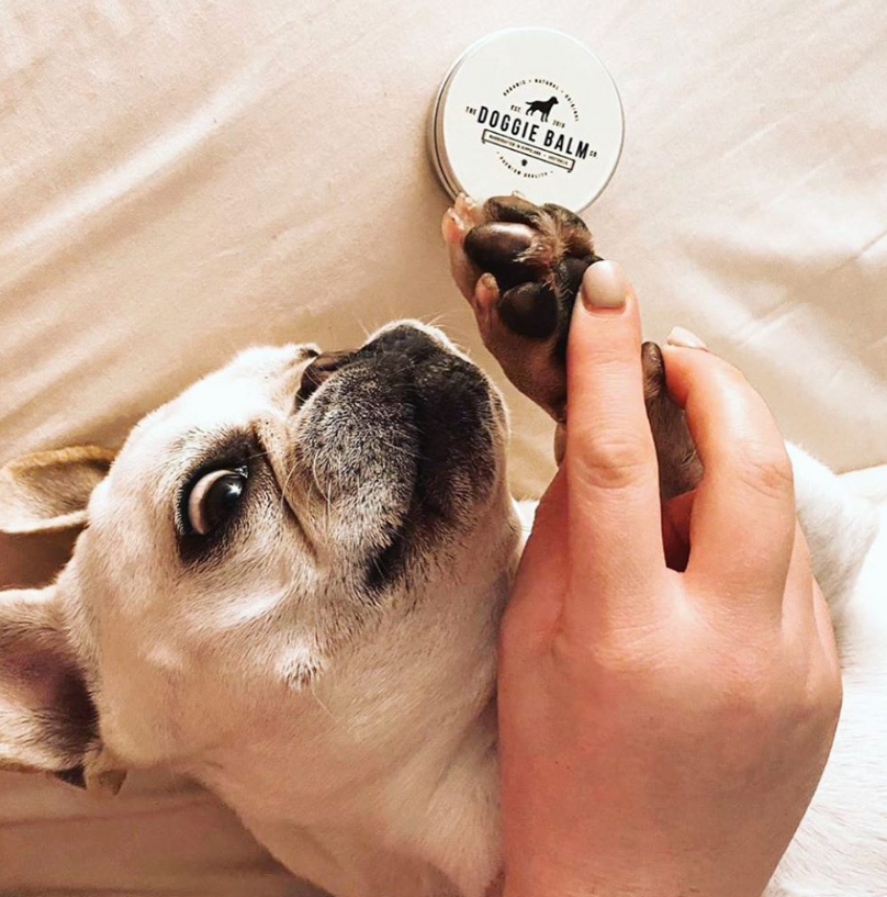 Dog balm clearance