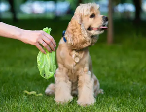 Dog Poop Bags (Eco Friendly)