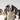 Healthy Houndz Dog Food