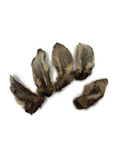 Load image into Gallery viewer, Aussie Roo Ears with Fur (5 Pack)