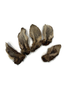 Aussie Roo Ears with Fur (5 Pack)