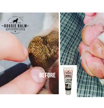 Load image into Gallery viewer, Wholesale_DoggieBalm Manuka