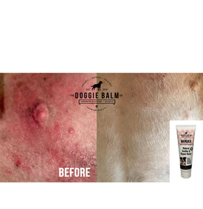 Wholesale_DoggieBalm Manuka