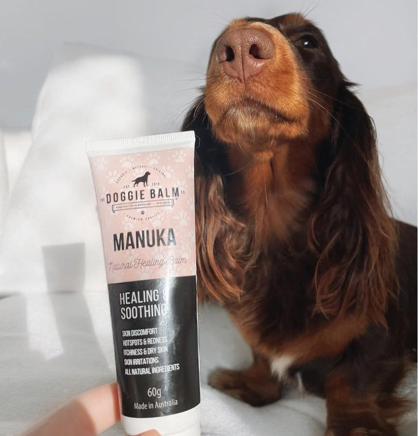 Manuka Balm Bundle