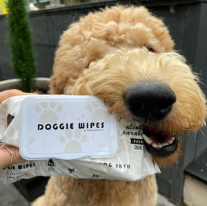 DOG Wipes - Premium Natural Skin & Coat Compostable Dog Wipes (80 Wipes)
