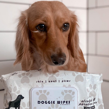 Load image into Gallery viewer, DOG Wipes - Premium Natural Skin &amp; Coat Compostable Dog Wipes (80 Wipes)