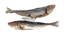 Load image into Gallery viewer, Fresh Ocean Sardines