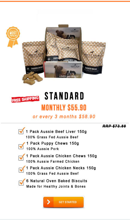 DoggieBalm Treats Subscription - Standard Box