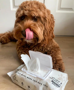 DOG Wipes - Premium Natural Skin & Coat Compostable Dog Wipes (80 Wipes)