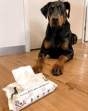 Load image into Gallery viewer, DOG Wipes - Premium Natural Skin &amp; Coat Compostable Dog Wipes (80 Wipes)